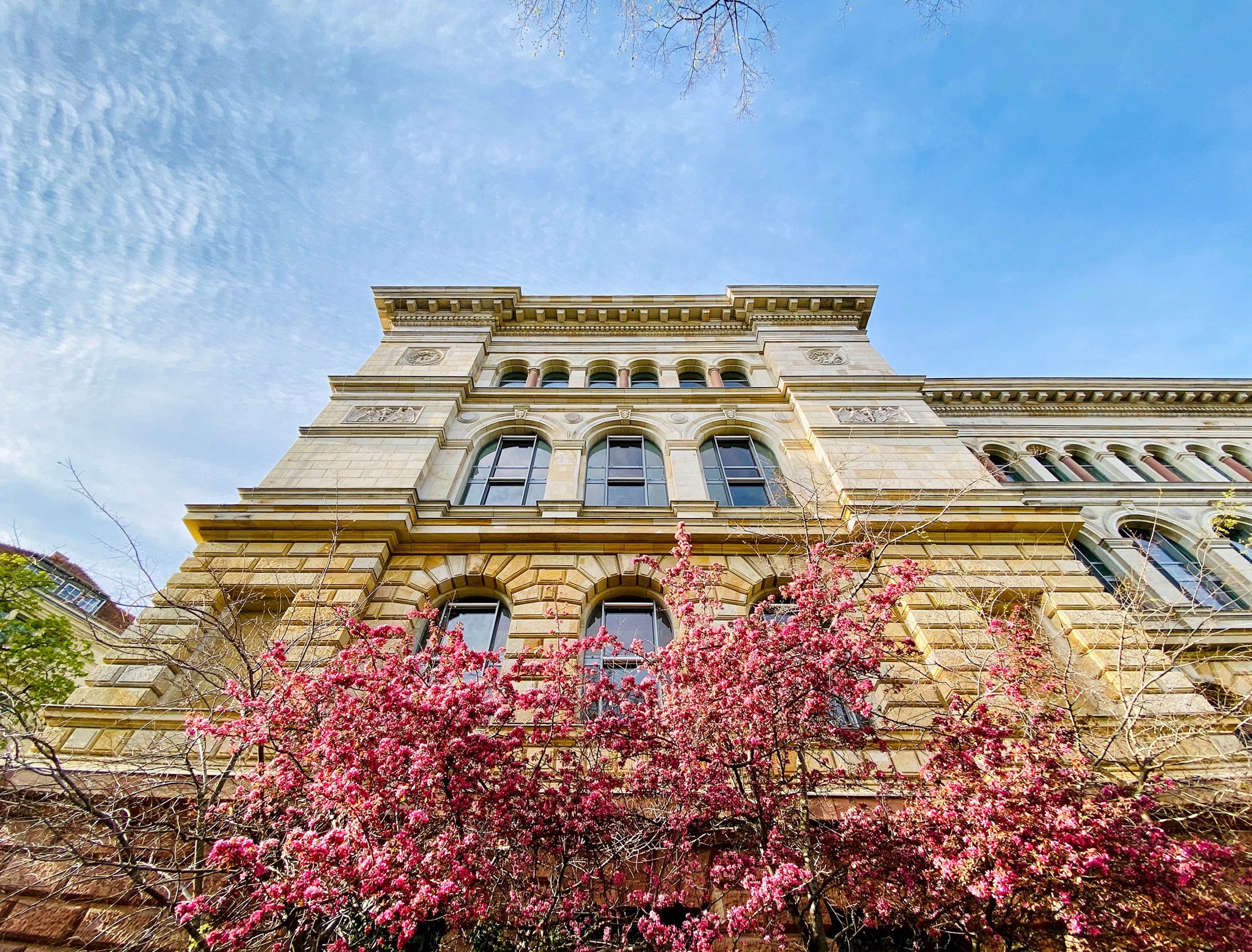 Technische Universität Berlin (TU)